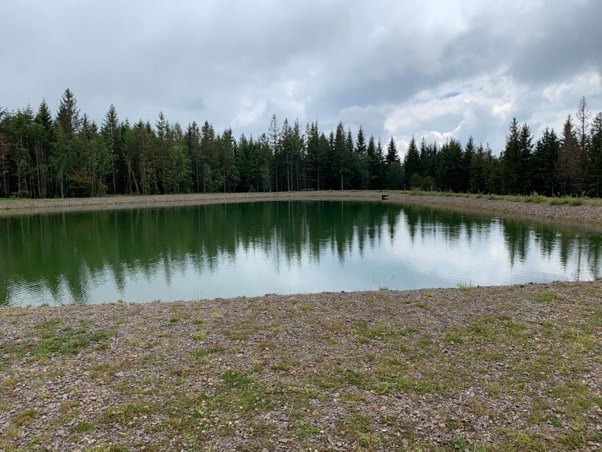 Residenz Schauinsland Todtnauberg - Fewo 17 - Sauna - Spielzimmer Fuer Kinder - Naehe Feldberg Eksteriør billede