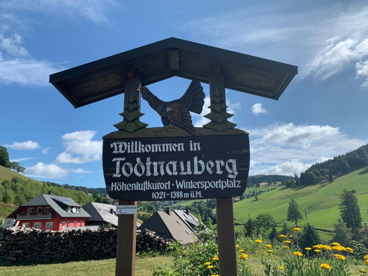 Residenz Schauinsland Todtnauberg - Fewo 17 - Sauna - Spielzimmer Fuer Kinder - Naehe Feldberg Eksteriør billede