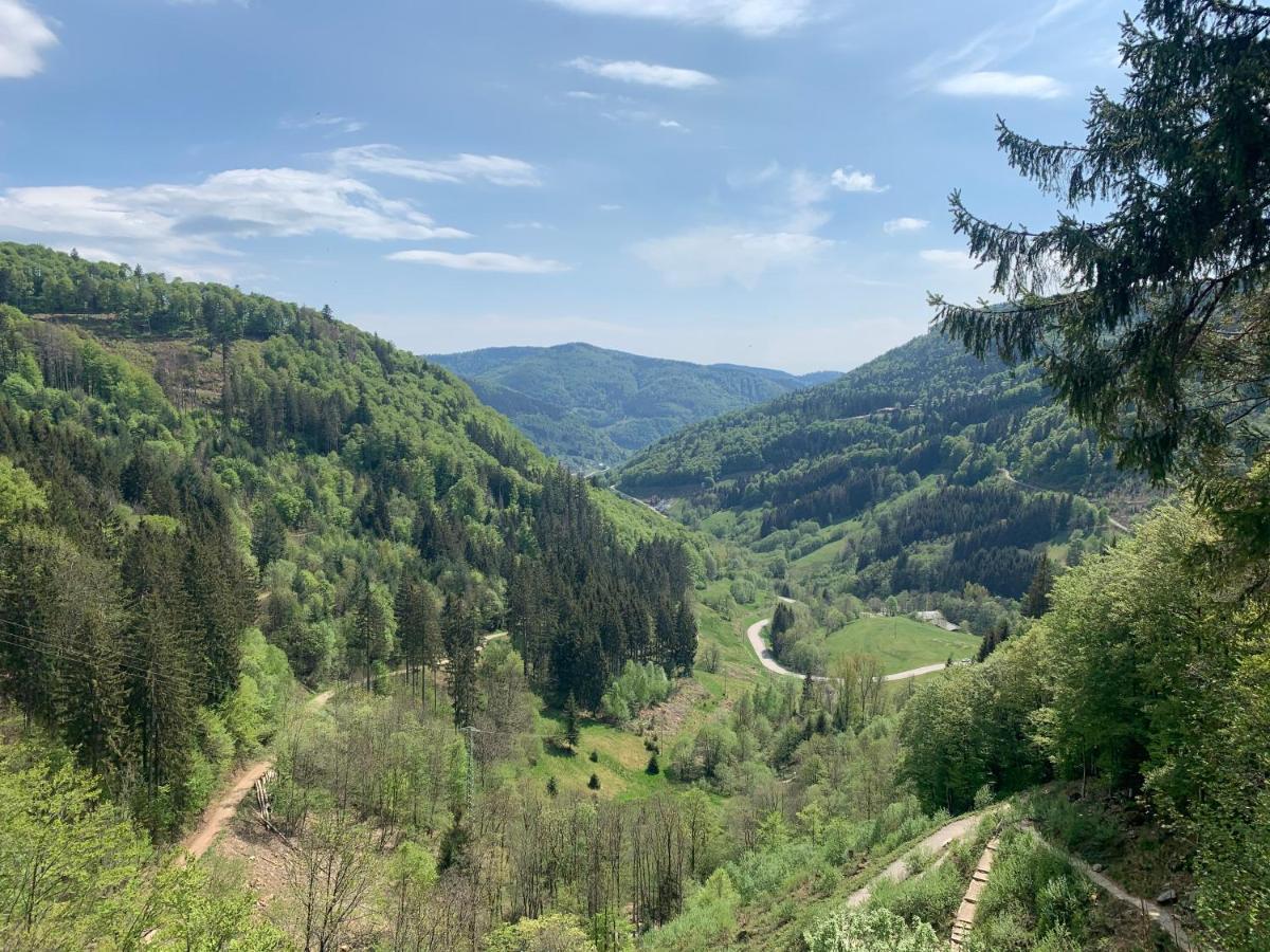 Residenz Schauinsland Todtnauberg - Fewo 17 - Sauna - Spielzimmer Fuer Kinder - Naehe Feldberg Eksteriør billede