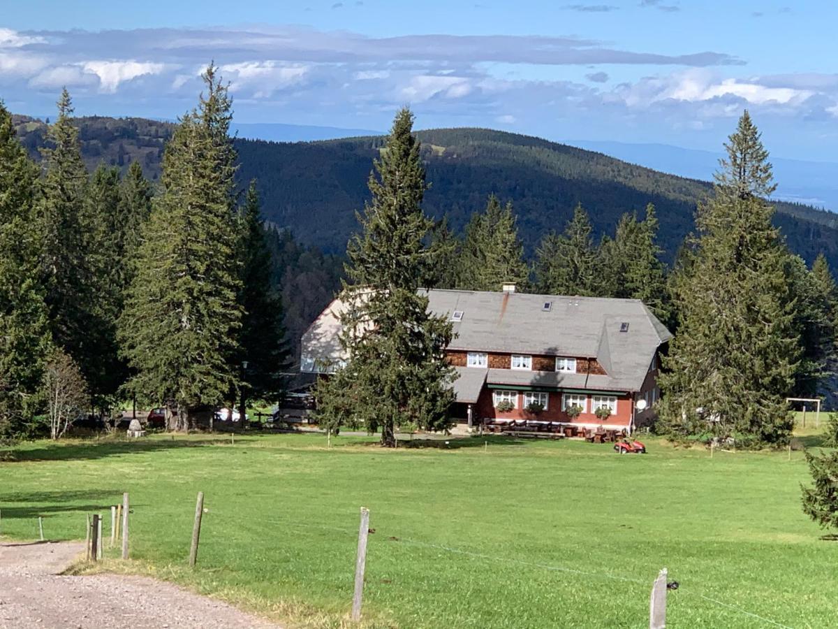 Residenz Schauinsland Todtnauberg - Fewo 17 - Sauna - Spielzimmer Fuer Kinder - Naehe Feldberg Eksteriør billede