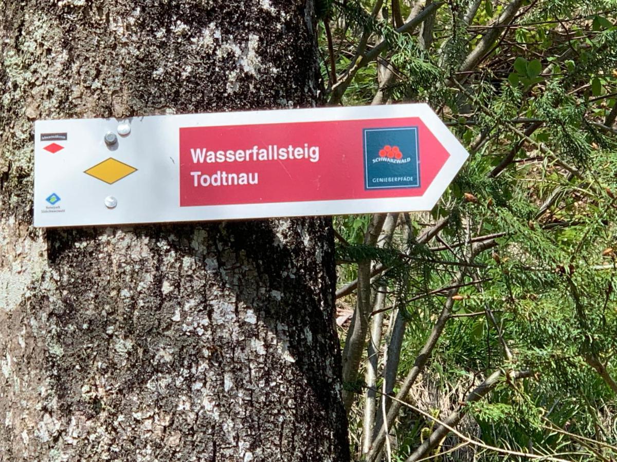 Residenz Schauinsland Todtnauberg - Fewo 17 - Sauna - Spielzimmer Fuer Kinder - Naehe Feldberg Eksteriør billede