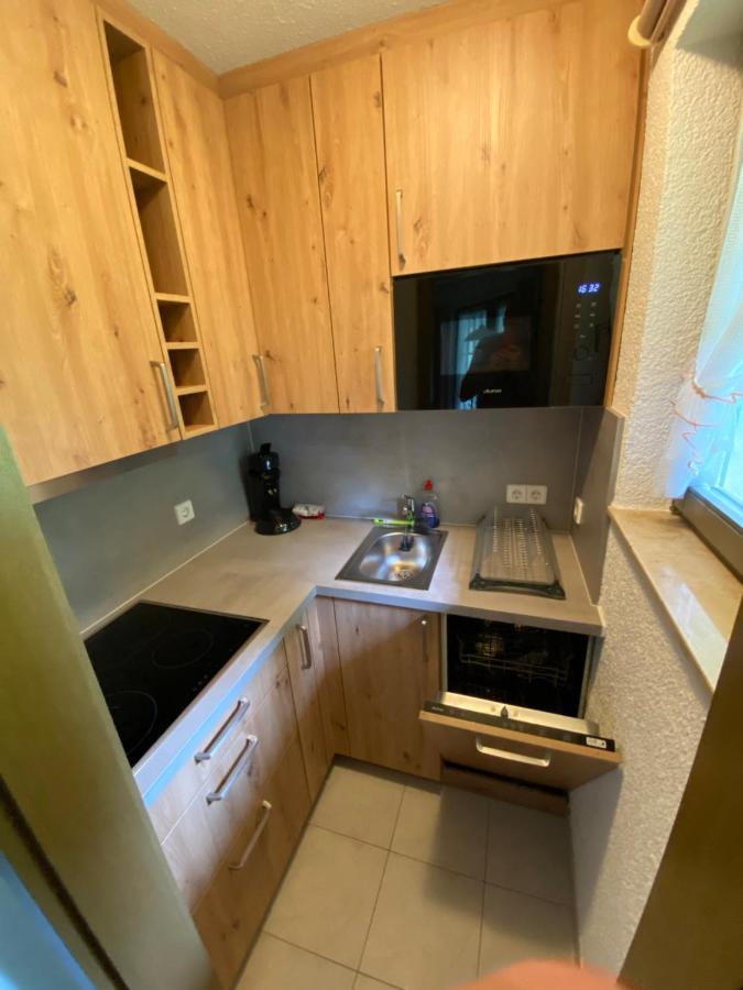 Residenz Schauinsland Todtnauberg - Fewo 17 - Sauna - Spielzimmer Fuer Kinder - Naehe Feldberg Eksteriør billede